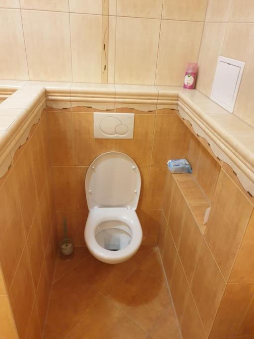 Mezonetovy Apartman V Centre Novej Dubnice Ilava Dış mekan fotoğraf